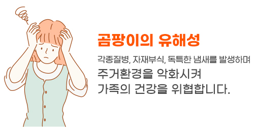 이미지명