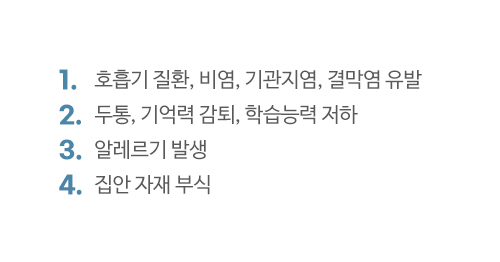 이미지명